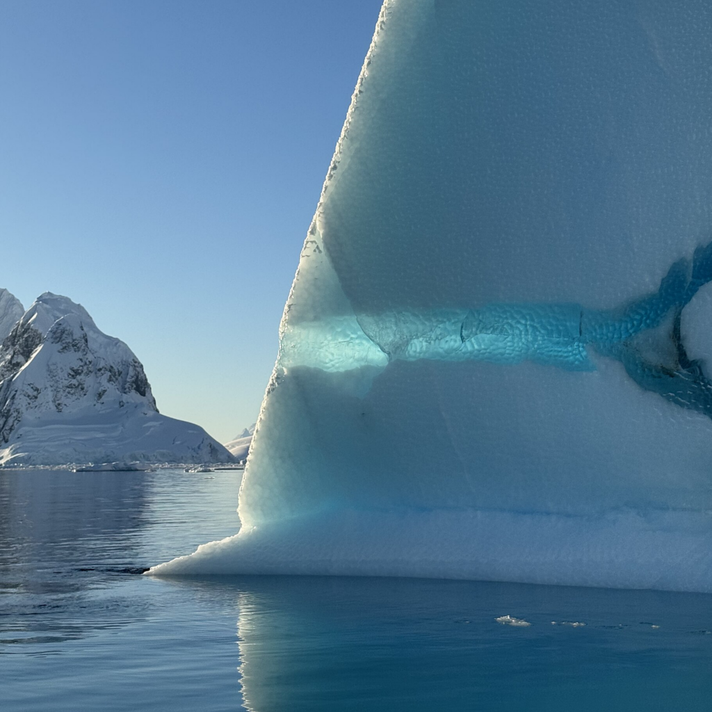 An smooth white iceberg in a shape resembling a sailing ship with a snowy mountain and blue sky in the background. In the foreground is calm water. The iceberg has a large horizontal crack midway up, which has refrozen with translucent azure blue ice.